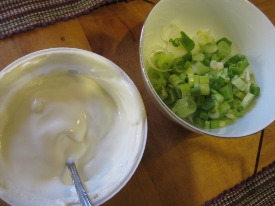 Zwischendrin haben wir uns die Frühlingszwiebeln fein geschnitten und für zartere Gaumen etwas Joghurt bereitgestellt (wir nahmen 2 Esslöffel Curry-Paste, tun Sie das nicht!)